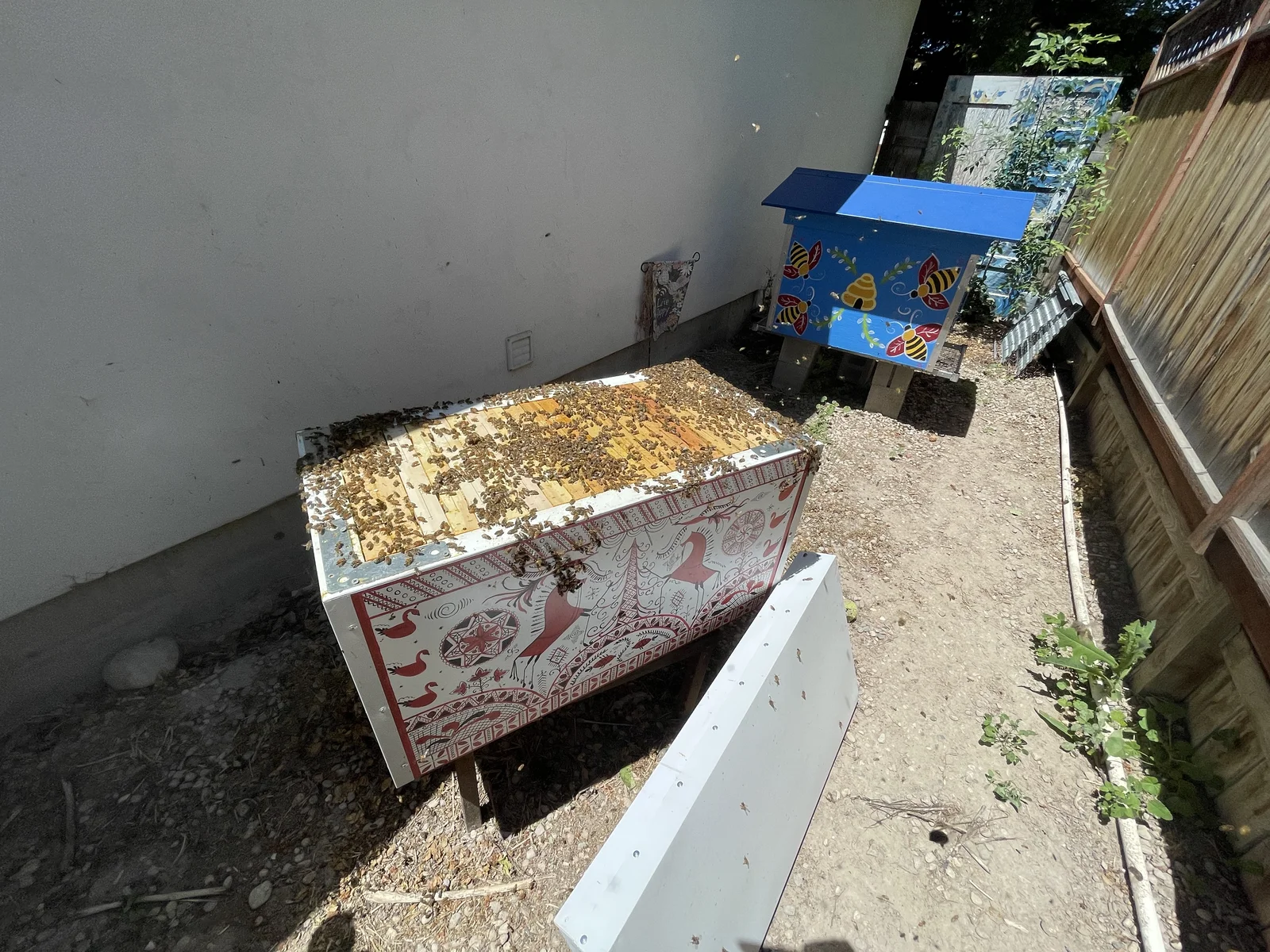 A hand-painted horizontal Lazutin beehive with folk-art red designs and bees clustered on top, in Maggie's Idaho apiary, with a second decorated hive in the background
